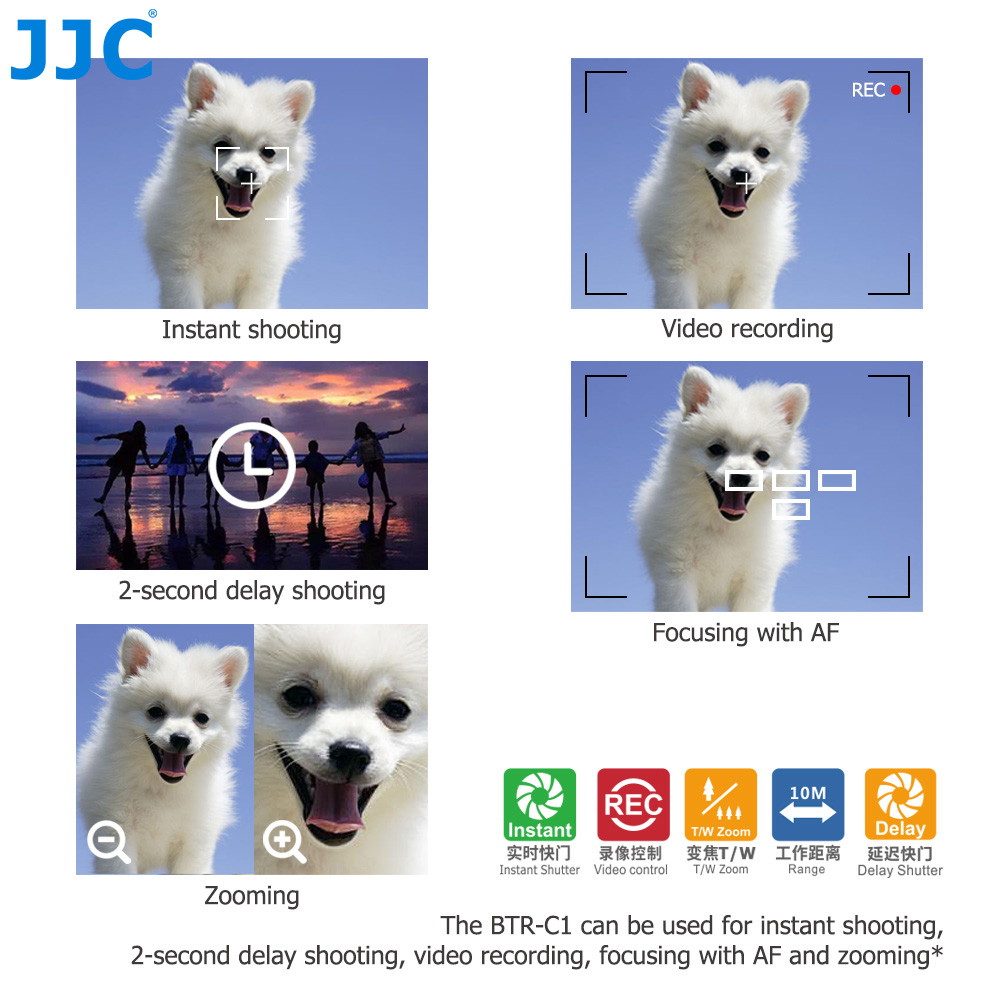 JJC BR-E1 Control remoto Bluet - Canon Camera Eos R50 reseña y precio
